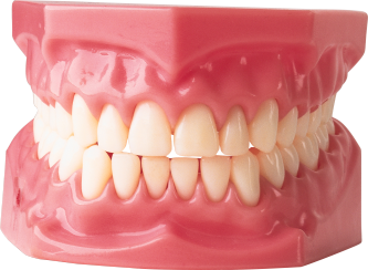 prothetischen zahn